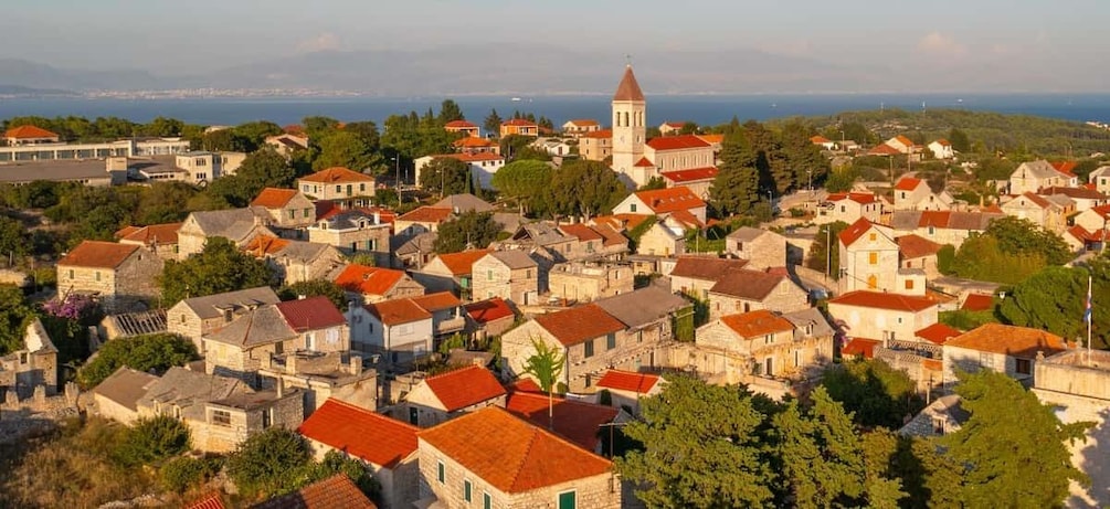 Picture 5 for Activity Rogač: Solta Island Wine, Honey, and Olive Oil Tasting Tour