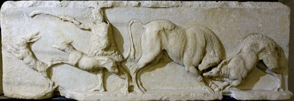 Picture 4 for Activity Savona: Guided tour of the Civic Museum of Archaeology and the City of Savona