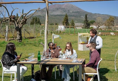 Wine Tasting on Mt. Vesuvius