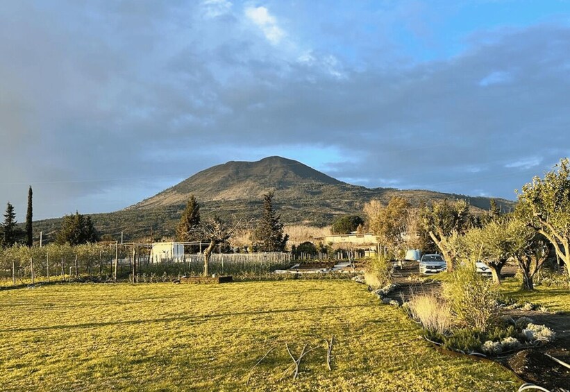 Picture 12 for Activity Wine Tasting on Mt. Vesuvius