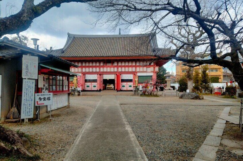Explore Osaka with Local Host and Multilingual Audio Guide