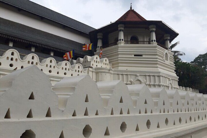 Explore Sigiriya, Kandy,Nuwaraeliya,Galle From Colombo