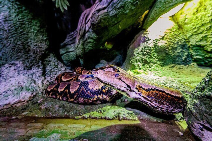 The National Aquarium in Abu Dhabi