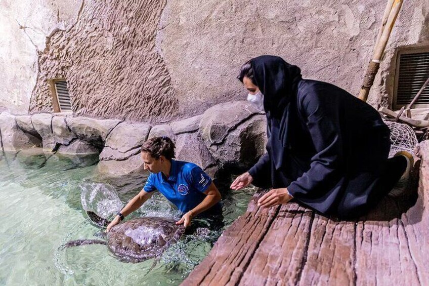 The National Aquarium in Abu Dhabi