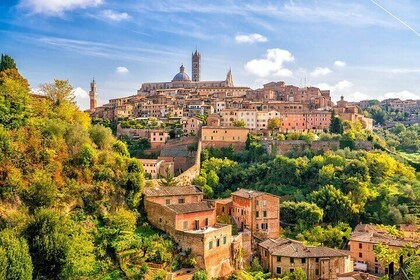 Highlights of Tuscany Pisa San Gimignano Siena and Wine Lunch