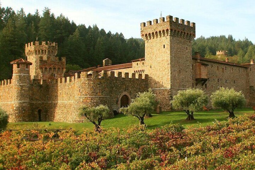 Vineyard Elegance and Wine Tour in Sonoma and Napa City