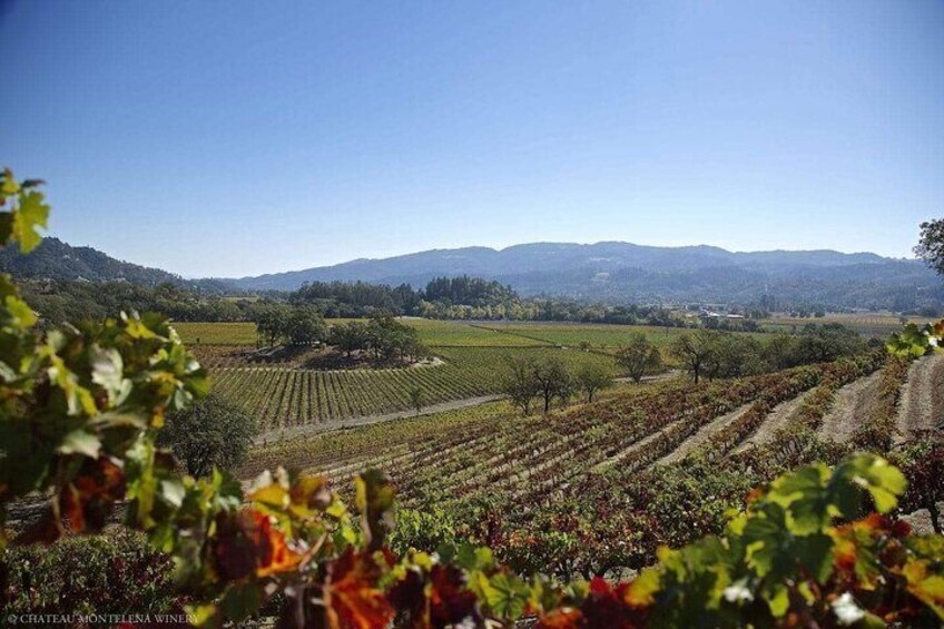 Vineyard Elegance and Wine Tour in Sonoma and Napa City