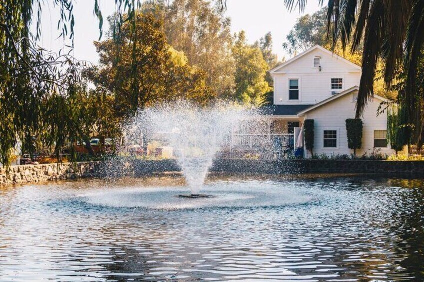Vineyard Elegance and Wine Tour in Sonoma and Napa City