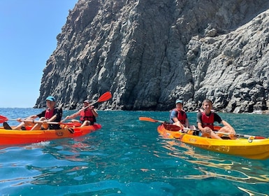 Tenerife: Kayak and Snorkeling Tour with Marine Life