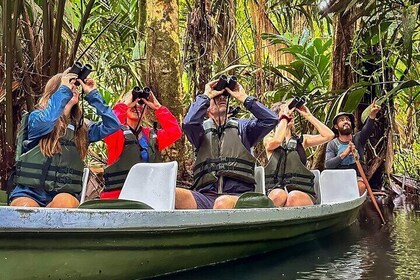 Tour in canoa all'alba di Tortuguero - Caffè, binocolo e fauna selvatica