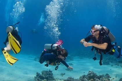 Scuba Diving Activity from Icmeler