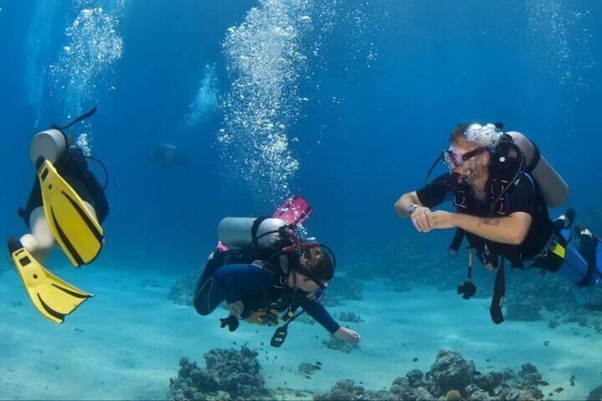 Scuba Diving Activity from Icmeler