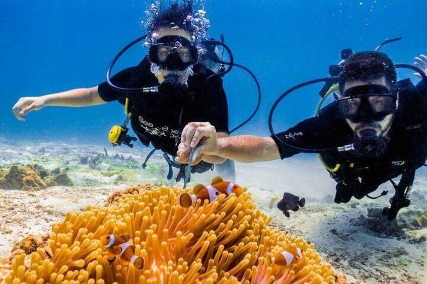 Scuba Diving Activity from Icmeler