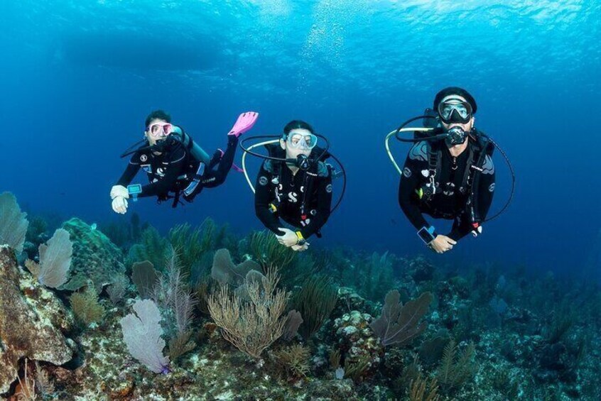 Scuba Diving Activity from Icmeler