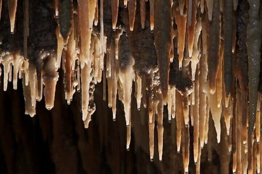 Wombeyan Caves: Mulwaree Cave tour