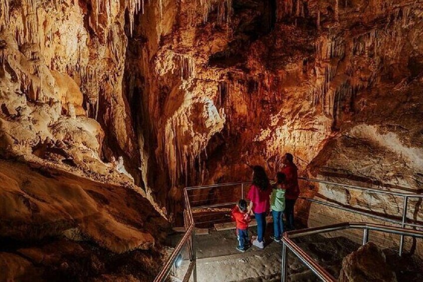  Wombeyan Caves: Fig Tree Cave Tour