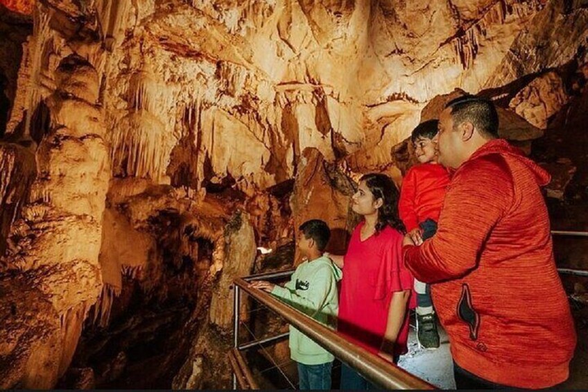  Wombeyan Caves: Fig Tree Cave Tour
