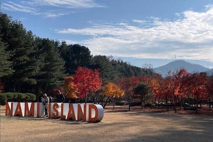 Seoul to Nami Island Alpaca World and Everland with Driver