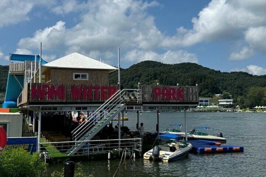 Seoul to Nami Island Alpaca World and Everland with Driver