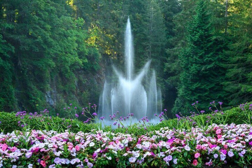 Victoria and Butchart Gardens Elevated Experience