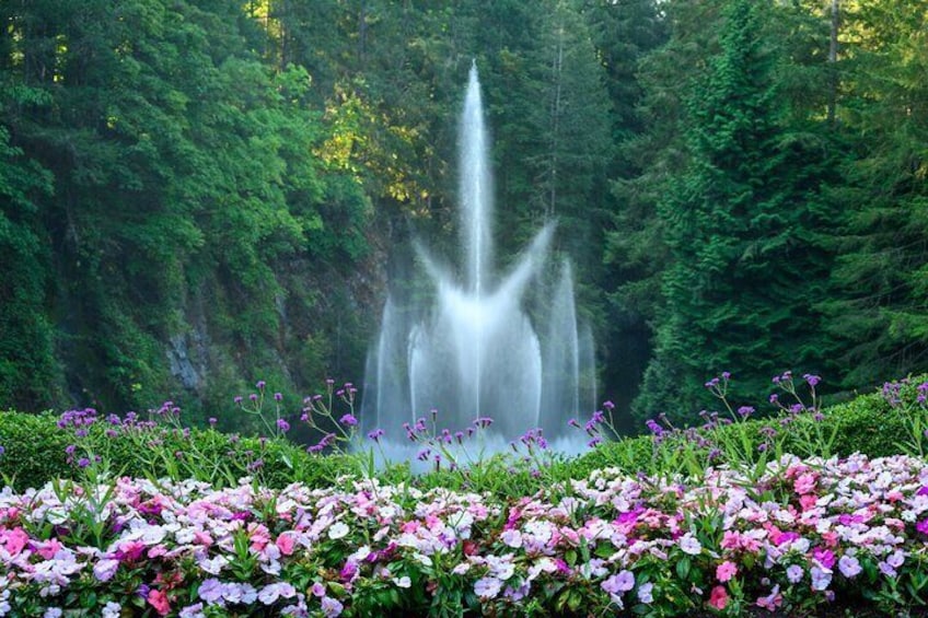 Victoria and Butchart Gardens Elevated Experience
