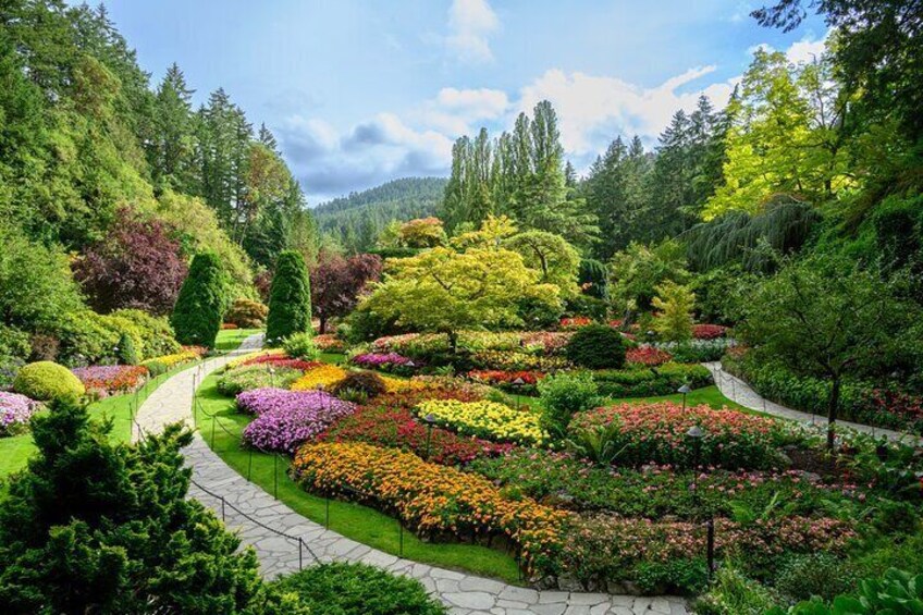 Victoria and Butchart Gardens Elevated Experience