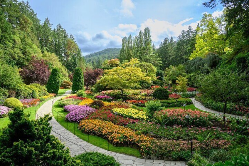 Victoria and Butchart Gardens Elevated Experience