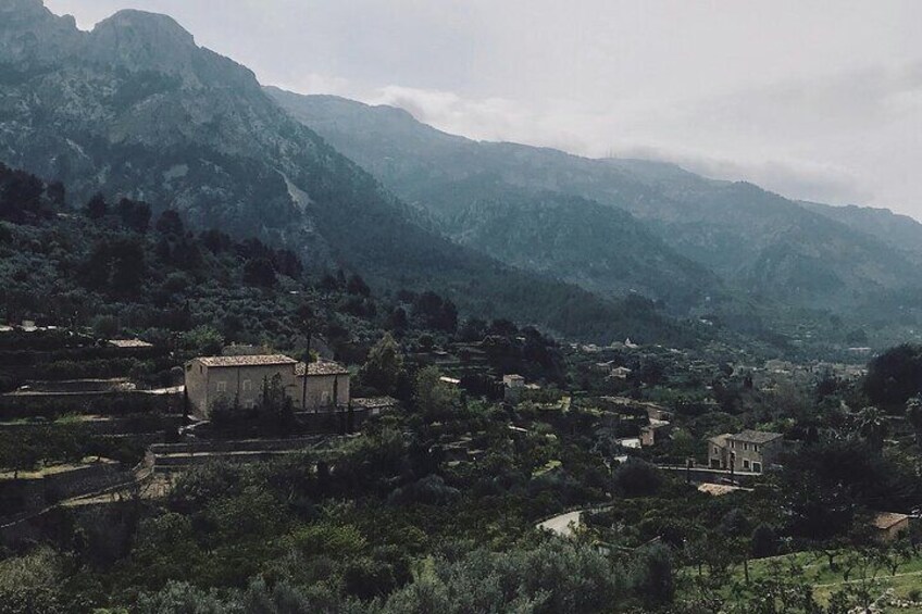 Mallorca Shore Excursion to Soller, Valldemossa and Deia