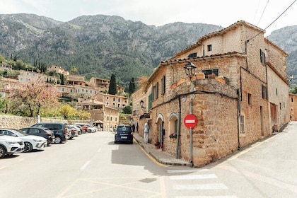 Mallorca Shore Excursion to Soller, Valldemossa and Deia
