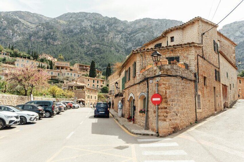 Mallorca Shore Excursion to Soller, Valldemossa and Deia