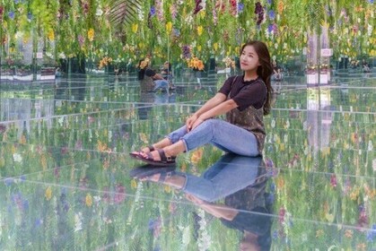 Begonia Bird Garden Rail Bike und Morning Calm Garden Tour