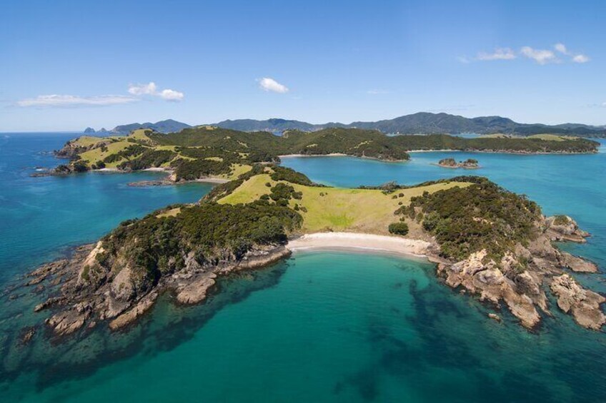 Auckland to Paihia via West Coast Small Group Tour (One Way)