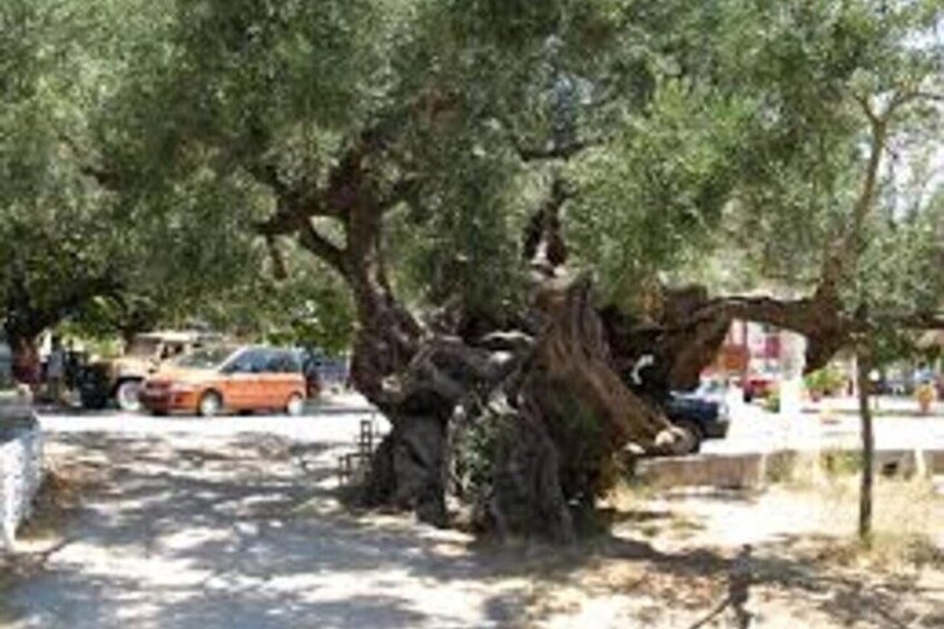 Discover the Zakynthos Past an Exclusive Tour