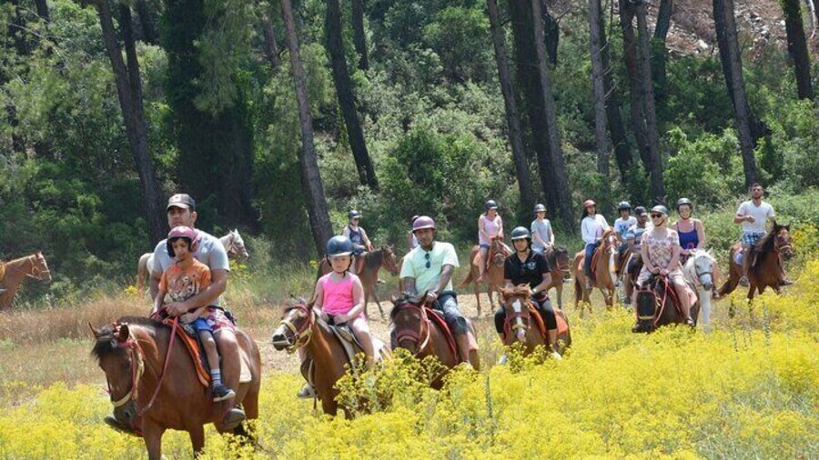 Horse Riding Experience with Hotel Transfer from Marmaris