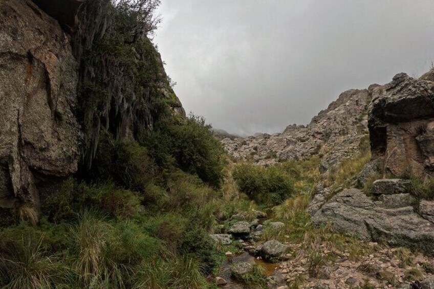 Arroyo