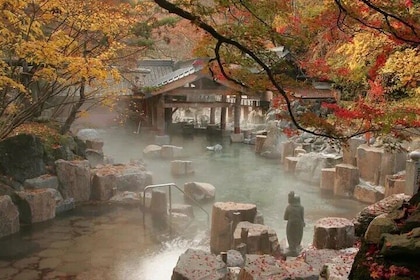 Mount Fuji Oshino Hakkai and Hot Spring Day Tour