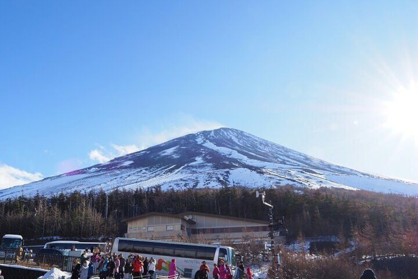 Mount Fuji Oshino Hakkai and Hot Spring Day Tour