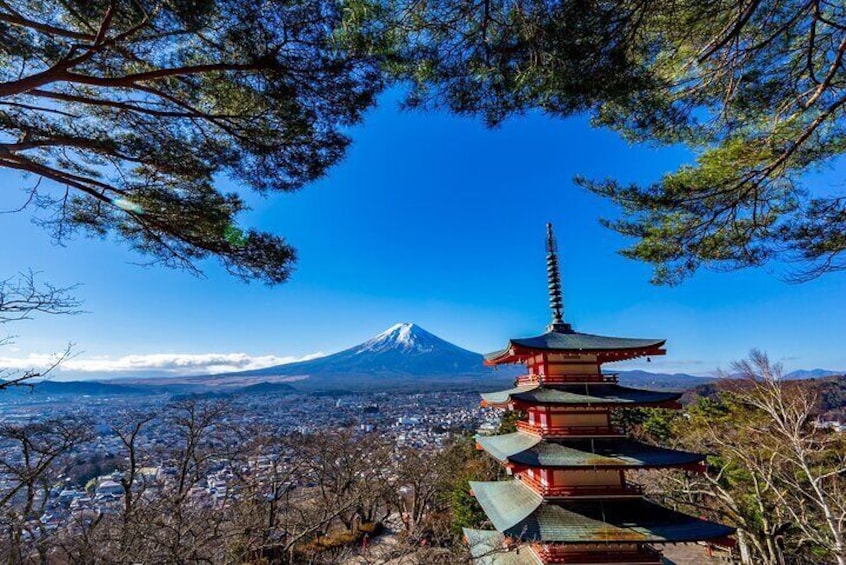 Mount Fuji Oshino Hakkai and Hot Spring Day Tour