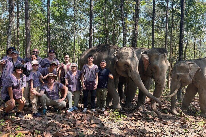 Chiang Mai 1 Day: Elephant Sanctuary, Waterfall & Bamboo Rafting