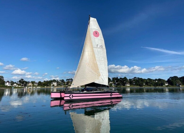 Picture 4 for Activity From Quiberon: Ile aux Moines Catamaran Sailing Adventure