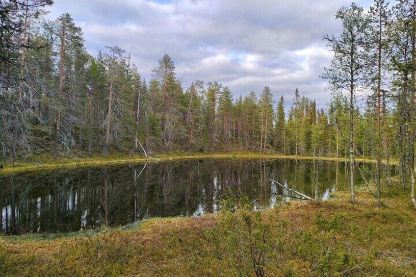 Live the Day with Locals in Lapland Area.