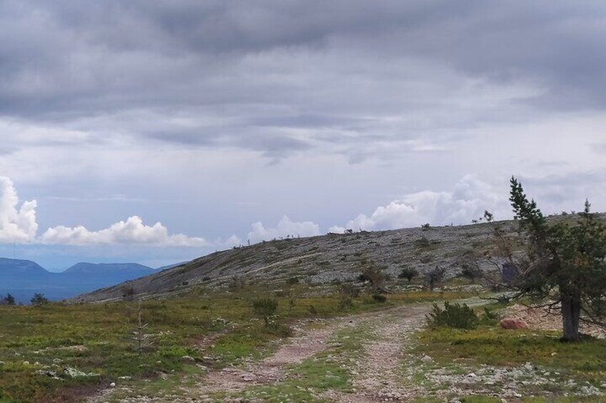 Live the Day with Locals in Lapland Area.