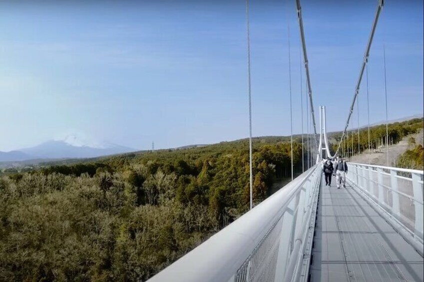 Enchanting Fujisan