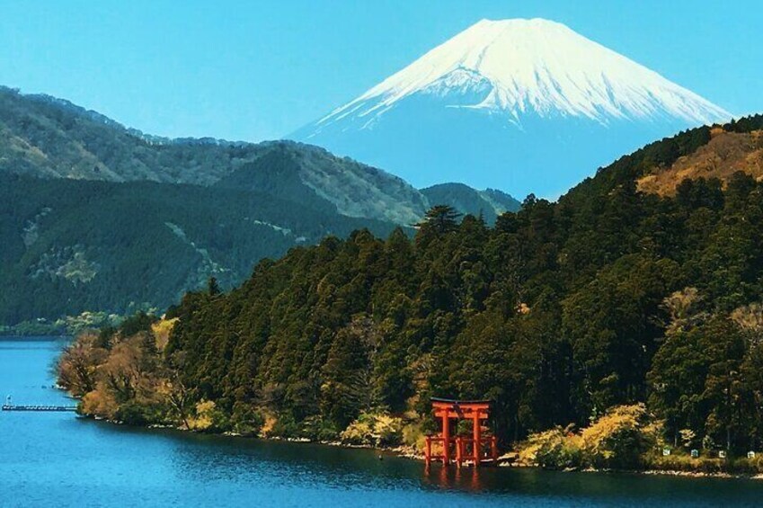 Enchanting Fujisan
