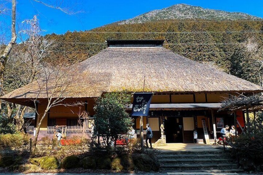 Enchanting Fujisan