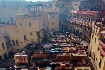 Fez Old Medina 步行旅程與當地嚮導