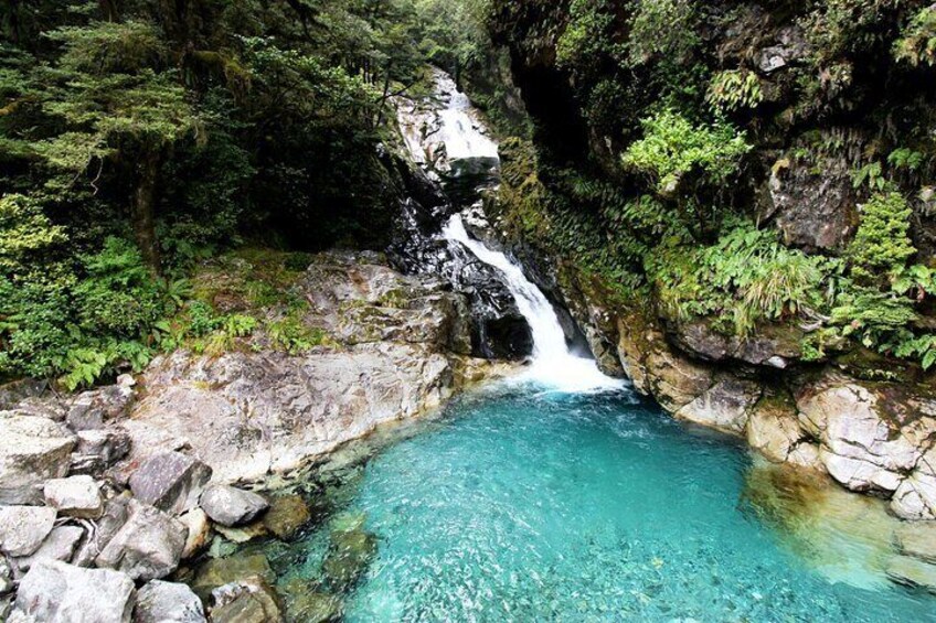 9 Day South to North Island New Zealand Tour from Queenstown
