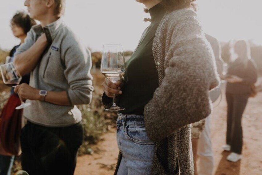 The pleasure of tasting wines so peculiar