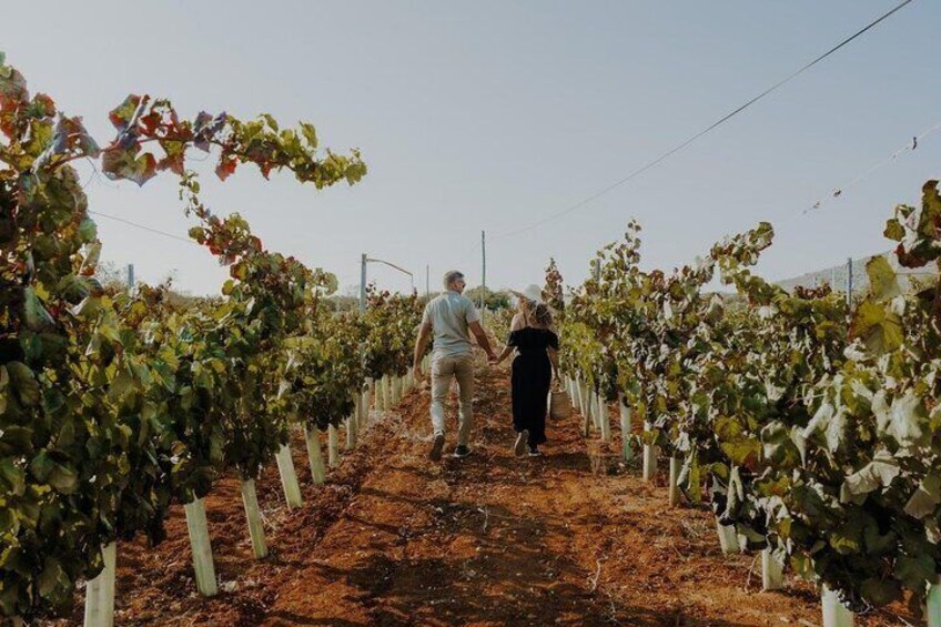 The Vineyard Mother