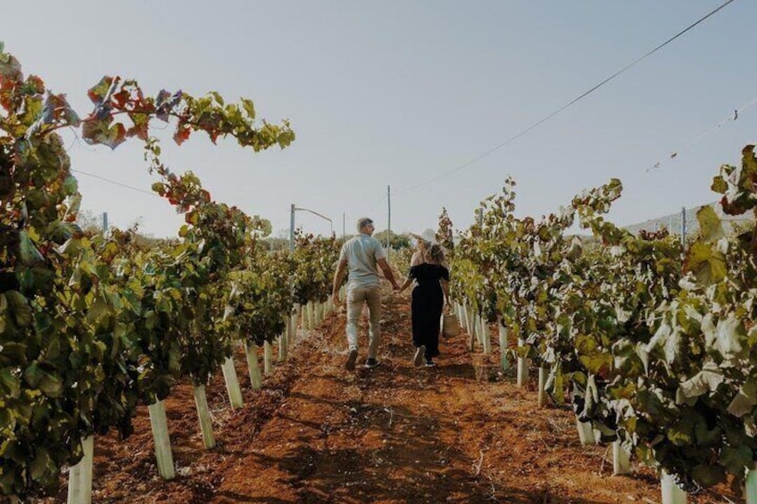 The Vineyard Mother